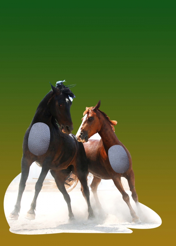 Creation of The Escape of War Horses: Step 3